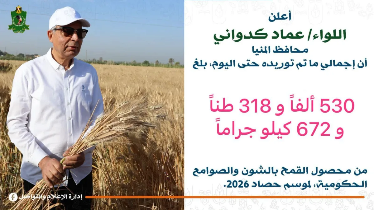 المنيا: توريد 530 ألف طن قمح منذ بدء الموسم.. وضبط ومصادرة 1317 طنًا مخالفًا وغير مطابق للمواصفات