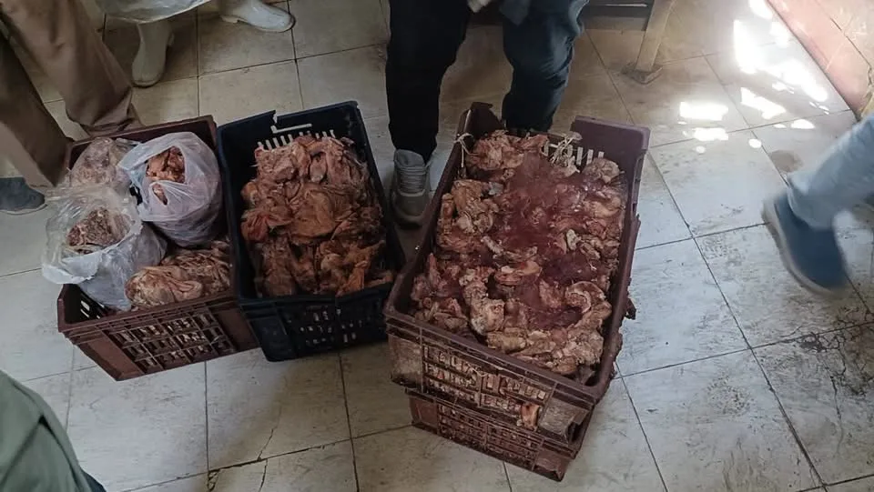 ضبط نصف طن لحوم وأسماك ودواجن غير صالحة بالمنيا
