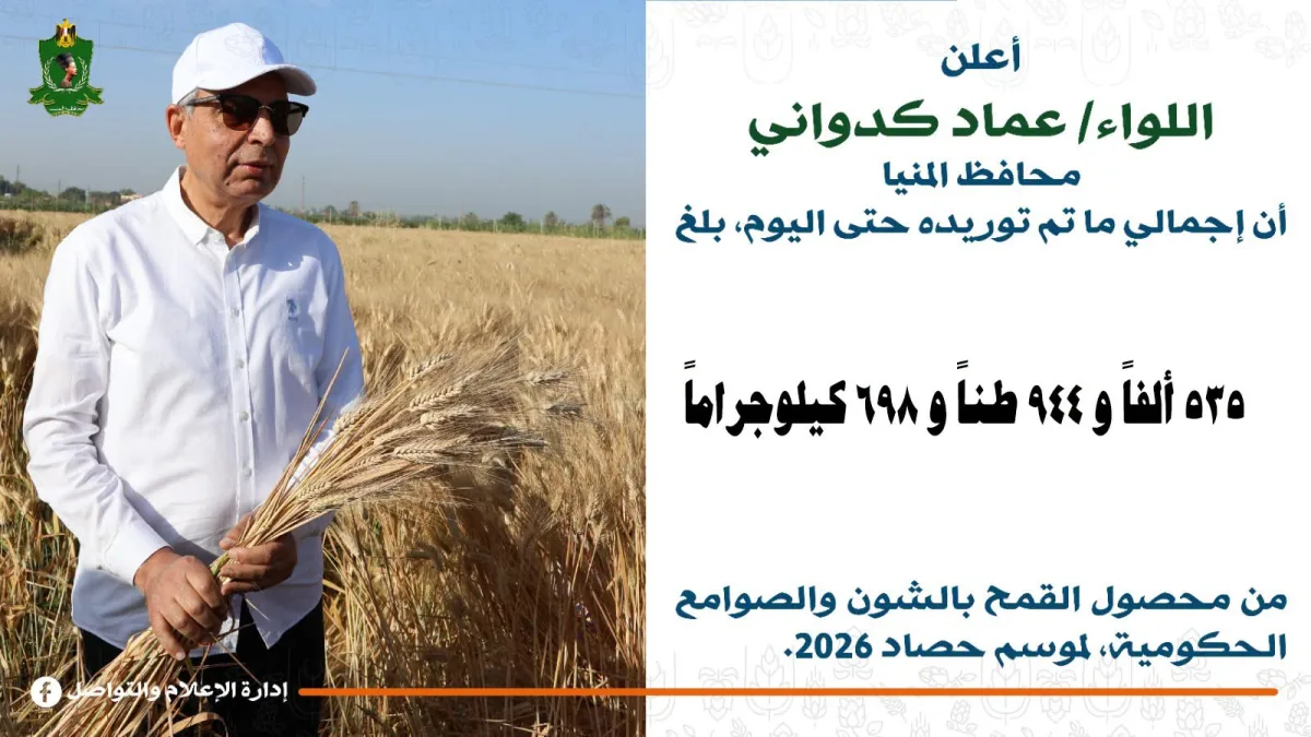 توريد 536 ألف طن قمح بالمنيا خلال الموسم