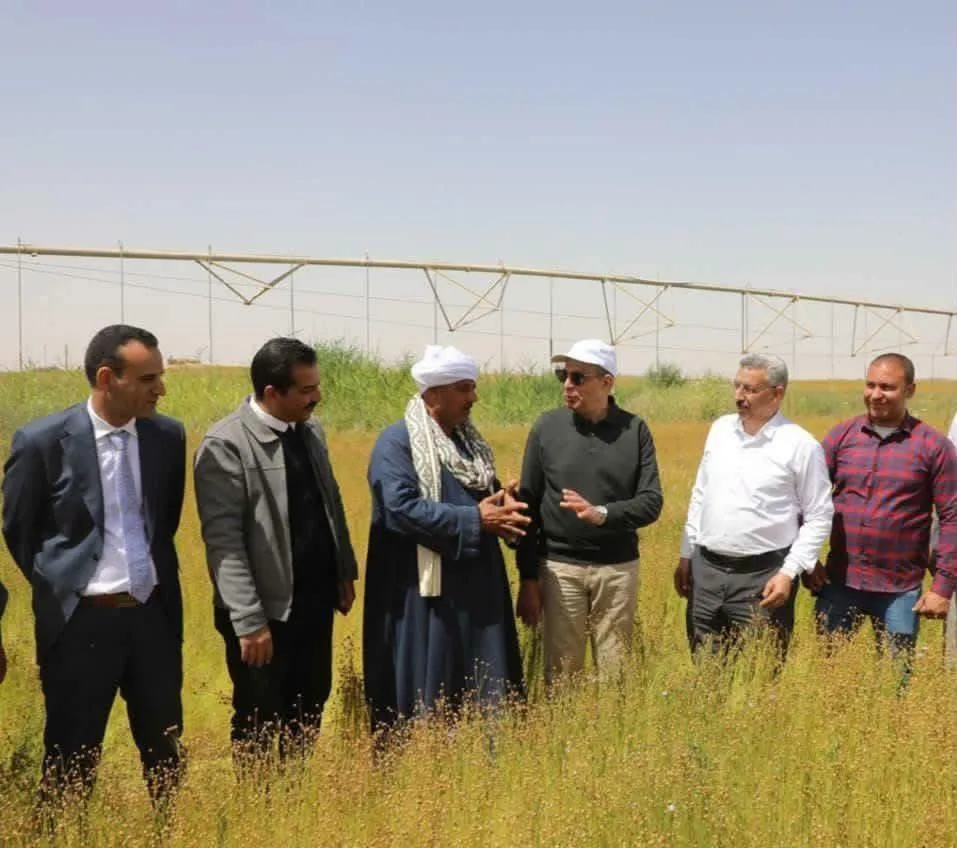 الكتان يرسم خريطة جديدة للزراعة في المنيا