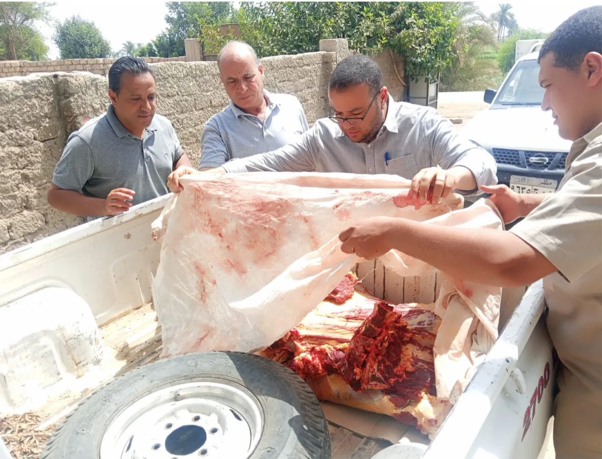 80 مخالفة تموينية في 3 مراكز بالمنيا.. ضبط لحوم وأسماك وألبان وأغذية فاسدة