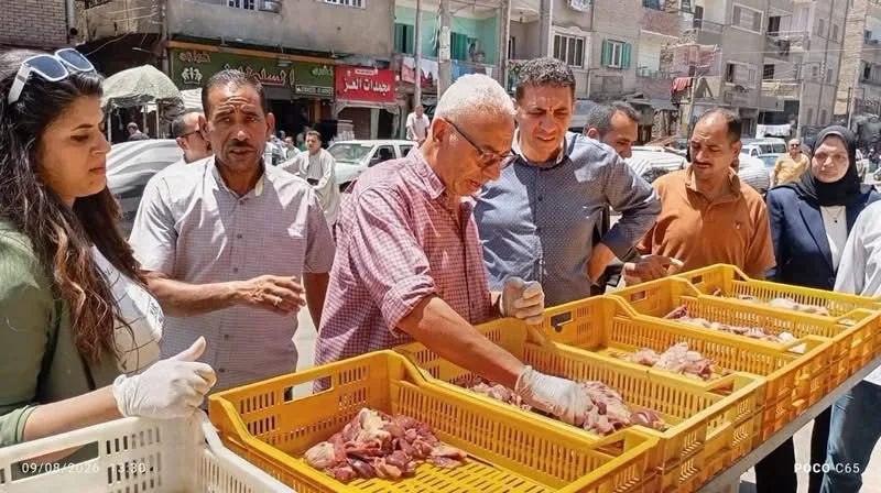 تموين المنيا: تحرير 228 مخالفة تموينية وضبط 1400 لتر سولار قبل بيعها بالسوق السوداء