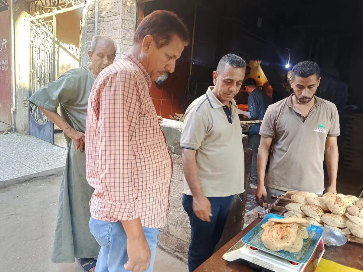 تحرير 320 مخالفة وضبط لحوم ودواجن غير صالحة بالمنيا